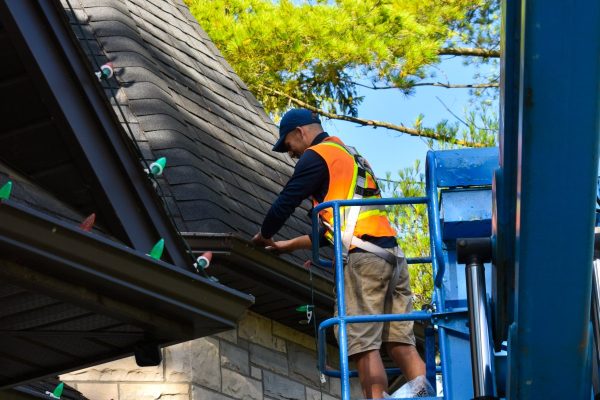 DSC_8915 (1) DSC_8915 (1)