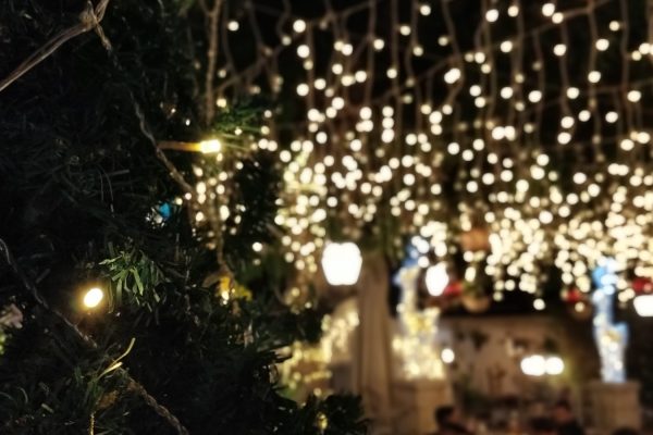 illuminated-christmas-tree-night (1) illuminated-christmas-tree-night (1)